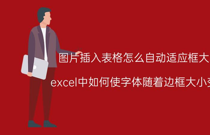 图片插入表格怎么自动适应框大小 excel中如何使字体随着边框大小变化？